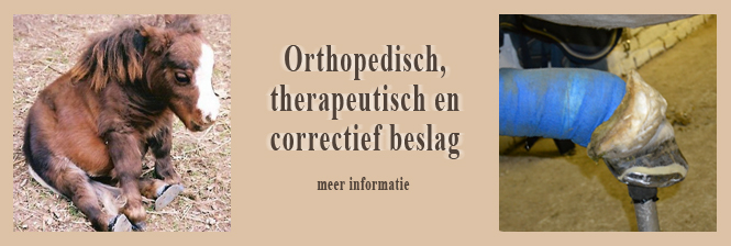 orthopedisch, therapeutisch en correctief beslag